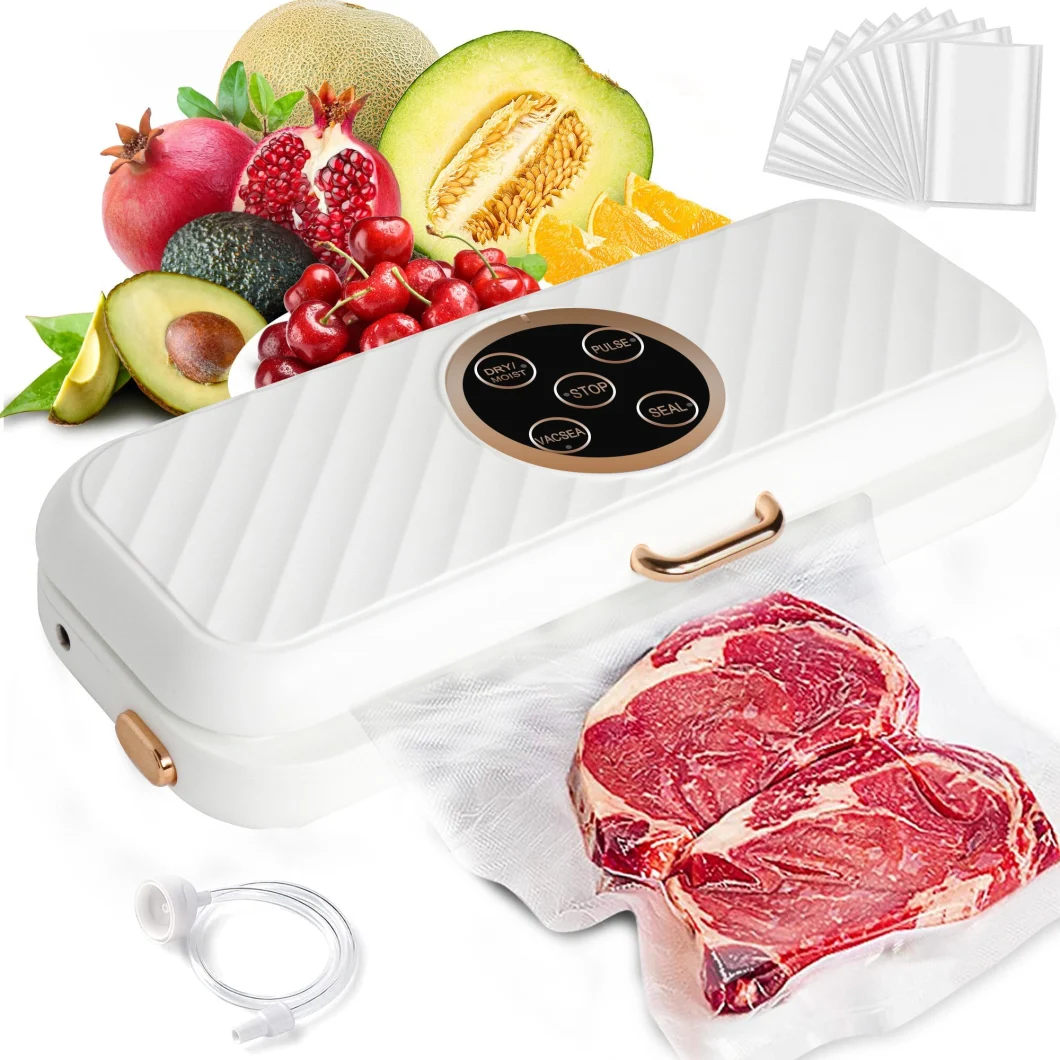 Ootd OEM Logo Household 220V 110V Automatic Food Packaging Machine Sous Vide Vacuum Sealer