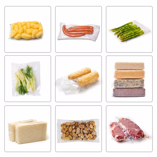 Price Single Chamber Food Saver Vacuum Sealer, Packaging Machine