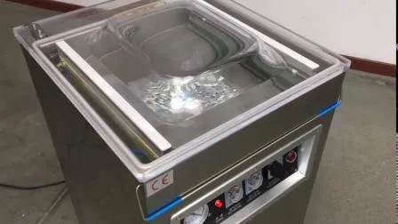 L'emballage alimentaire sous vide de poisson congelé à la maison de chambre simple met en sac la petite machine d'emballeur de cachetage de nourriture d'épargnant de vide