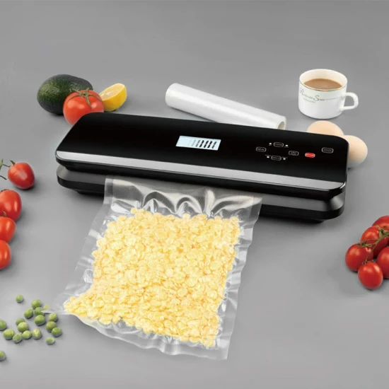 Nouveau Top Vente breveté entièrement automatique sous vide Concessionnaire Scellant alimentaire sous vide à usage domestique