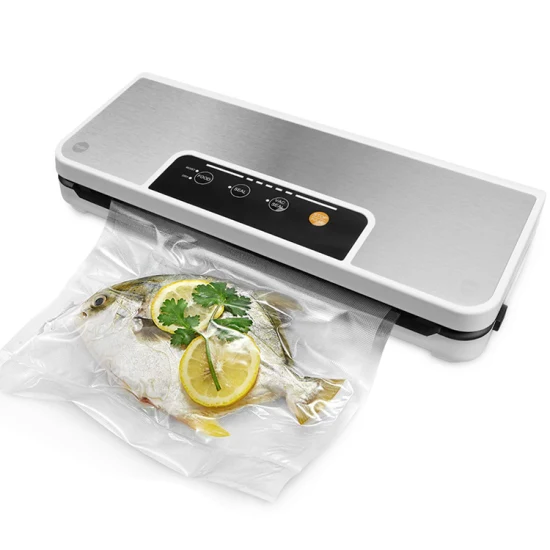 Scellant sous vide pour le stockage des aliments et les modes alimentaires sous vide secs et humides Design compact 15 pouces avec 10 sacs sous vide